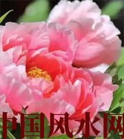 天津预示你财运上升，姻缘可成的梦境，快来看看吧！