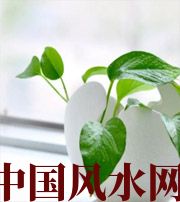 天津家中摆放六种吉祥物，会打开您的财运大门！