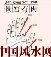 天津这个地方肉越多，财运就越好