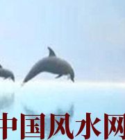天津做梦梦到这些，是要富裕的征兆！